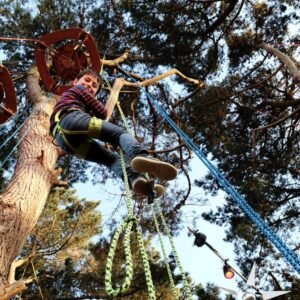 Grimpe d'arbre découverte