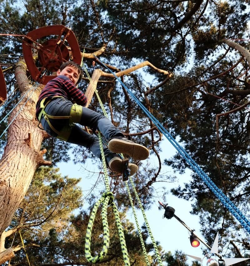 Grimpe d'arbre découverte