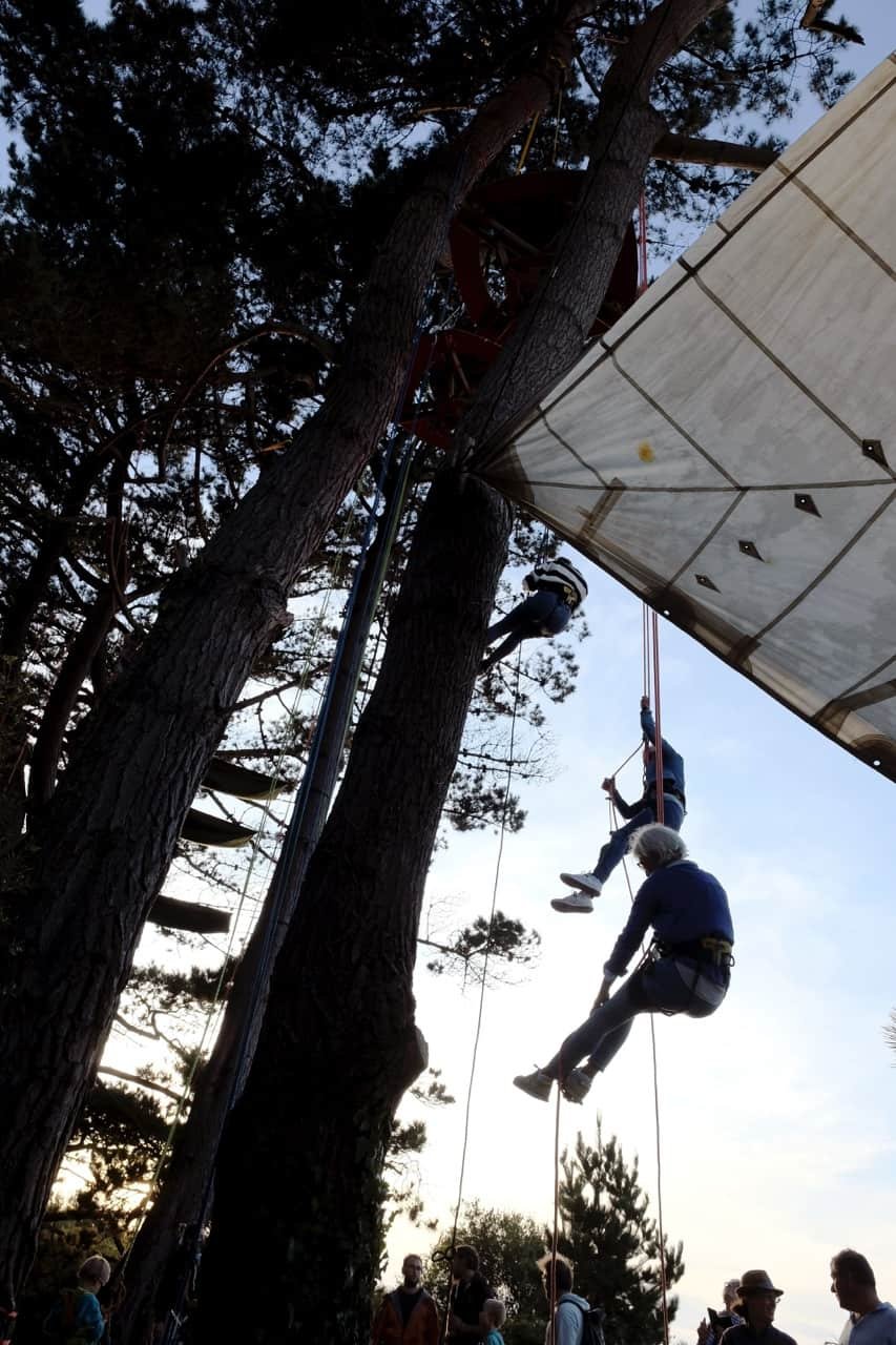 Module complémentaire : Encadrement de tiers dans l’arbre