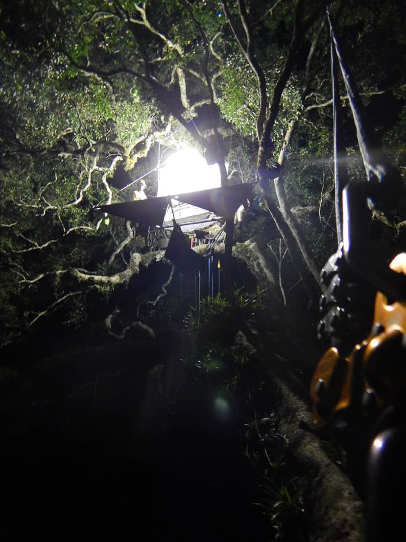Module 5 : Installation de plateformes dédiées (Epiphyte ou Mat Selvao) utopiarbre plateforme scientifique Epiphyte Côte d_ivoire forêt de Taï chasse nocturne antomo