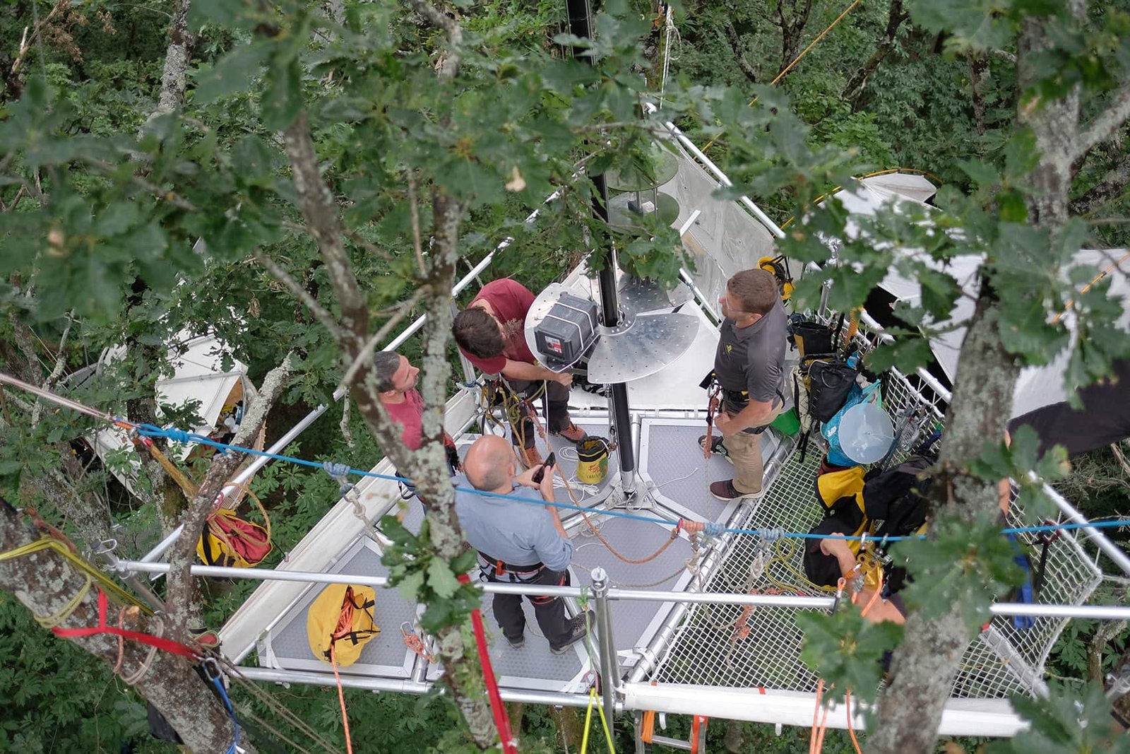 Module 3 : Approfondissement, utilisation de matériel dans les arbres utopiabre usage scientifiques Epiphyte IRBI CNRS Tours 2022